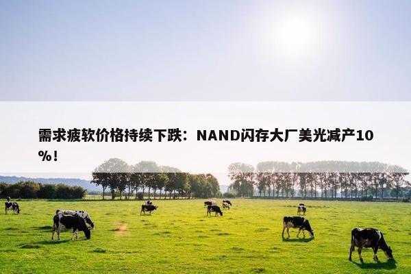 需求疲软价格持续下跌：NAND闪存大厂美光减产10%！