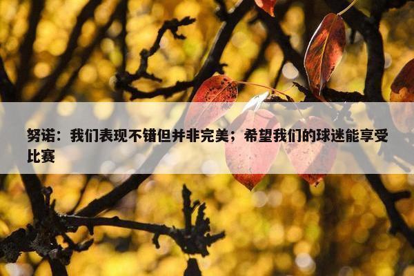 努诺：我们表现不错但并非完美；希望我们的球迷能享受比赛