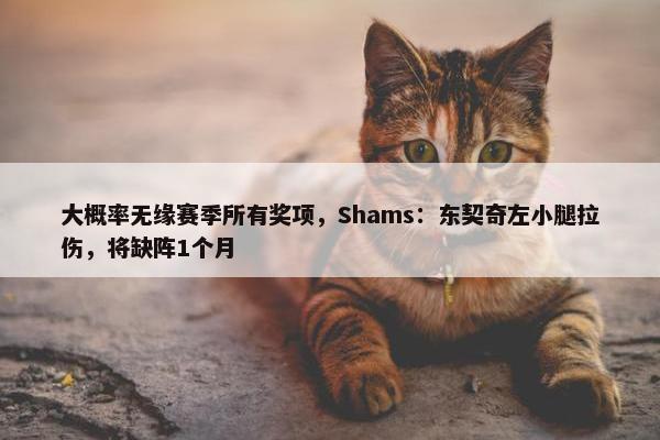 大概率无缘赛季所有奖项，Shams：东契奇左小腿拉伤，将缺阵1个月