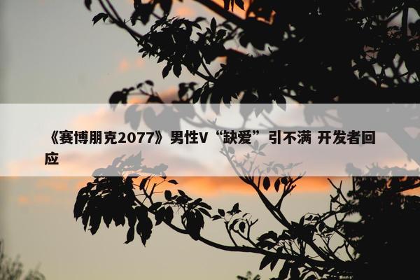 《赛博朋克2077》男性V“缺爱”引不满 开发者回应