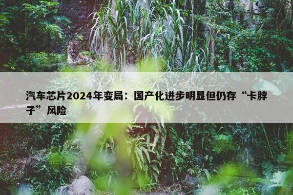 汽车芯片2024年变局：国产化进步明显但仍存“卡脖子”风险