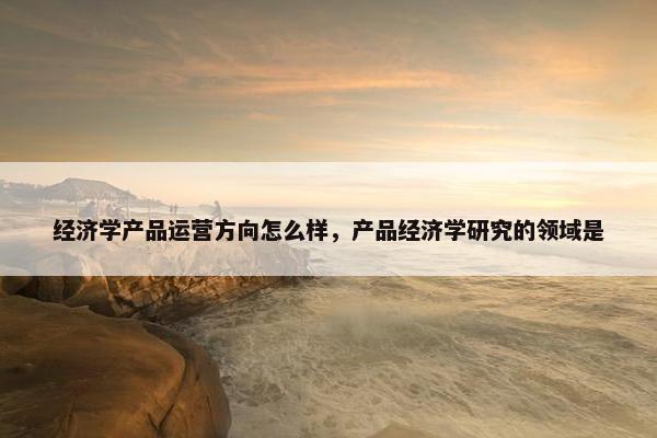 经济学产品运营方向怎么样，产品经济学研究的领域是