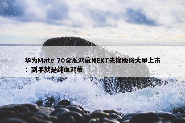 华为Mate 70全系鸿蒙NEXT先锋版将大量上市：到手就是纯血鸿蒙