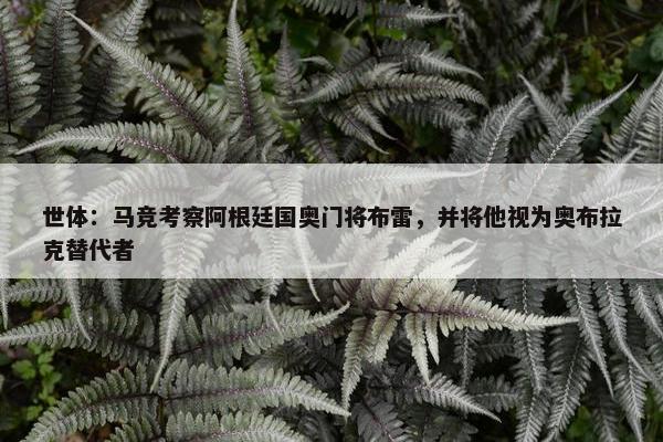 世体：马竞考察阿根廷国奥门将布雷，并将他视为奥布拉克替代者