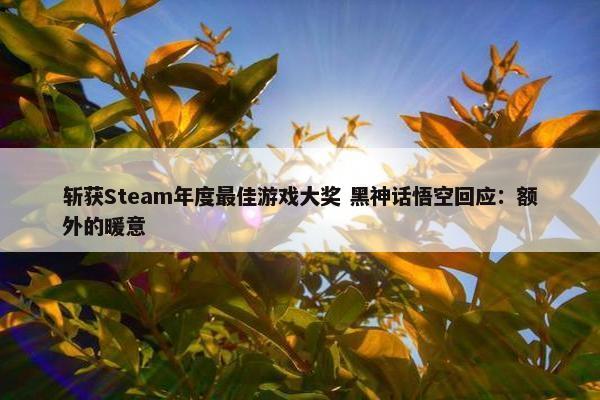 斩获Steam年度最佳游戏大奖 黑神话悟空回应：额外的暖意