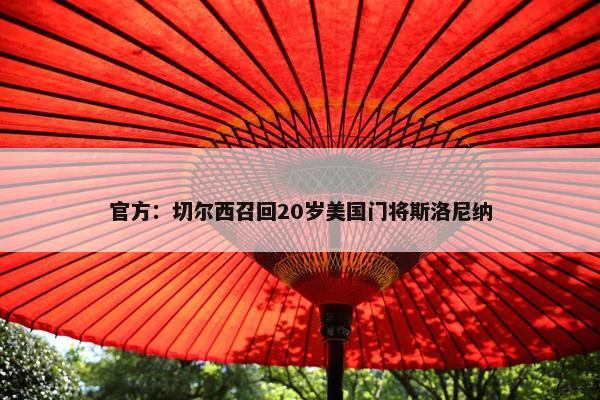 官方：切尔西召回20岁美国门将斯洛尼纳