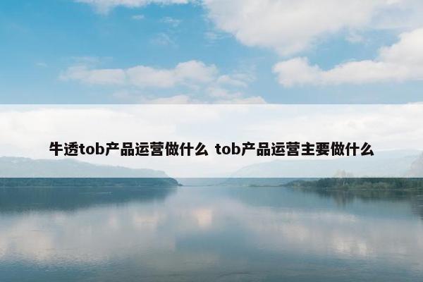 牛透tob产品运营做什么 tob产品运营主要做什么