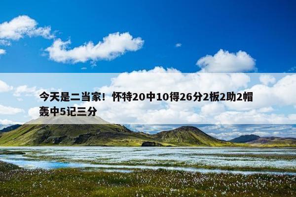 今天是二当家！怀特20中10得26分2板2助2帽 轰中5记三分