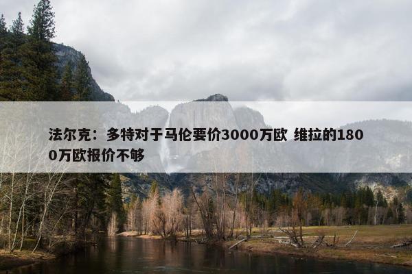 法尔克：多特对于马伦要价3000万欧 维拉的1800万欧报价不够