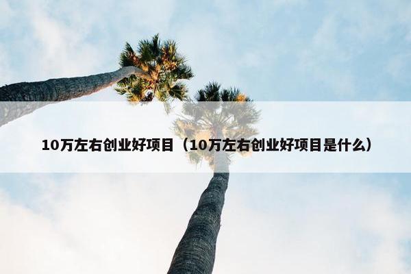 10万左右创业好项目（10万左右创业好项目是什么）