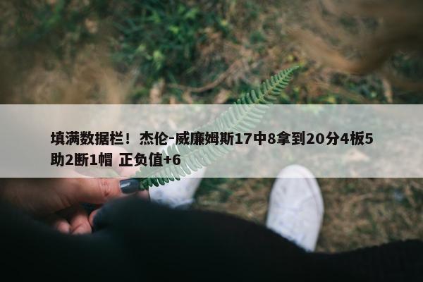 填满数据栏！杰伦-威廉姆斯17中8拿到20分4板5助2断1帽 正负值+6