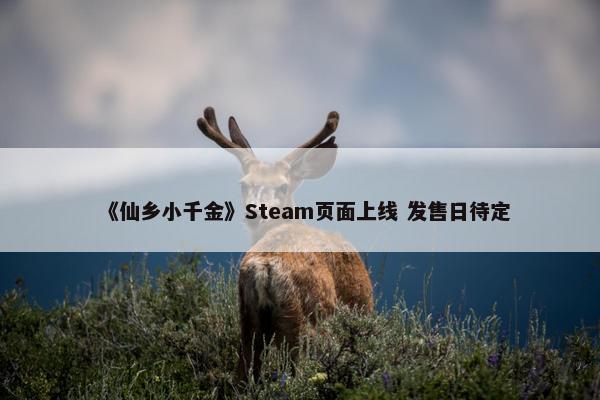 《仙乡小千金》Steam页面上线 发售日待定