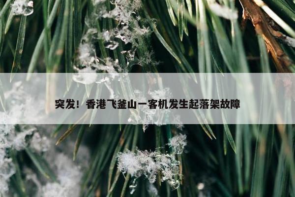 突发！香港飞釜山一客机发生起落架故障