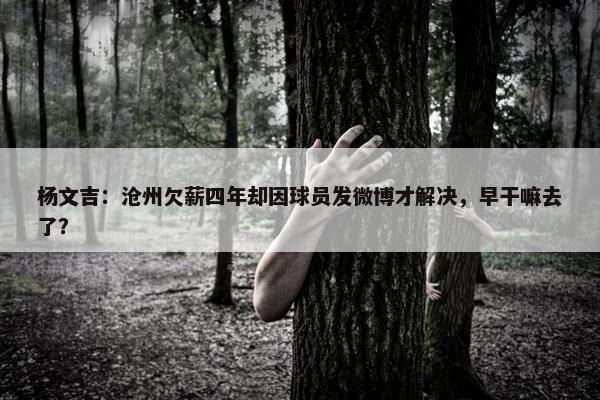 杨文吉：沧州欠薪四年却因球员发微博才解决，早干嘛去了？