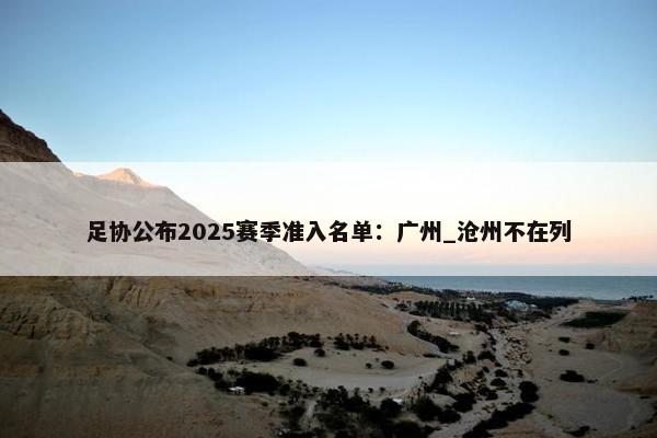 足协公布2025赛季准入名单：广州_沧州不在列