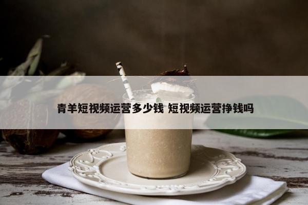 青羊短视频运营多少钱 短视频运营挣钱吗