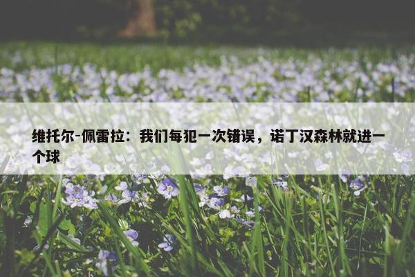 维托尔-佩雷拉：我们每犯一次错误，诺丁汉森林就进一个球