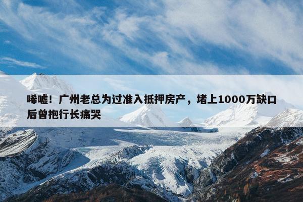 唏嘘！广州老总为过准入抵押房产，堵上1000万缺口后曾抱行长痛哭