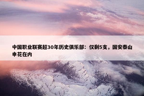 中国职业联赛超30年历史俱乐部：仅剩5支，国安泰山申花在内