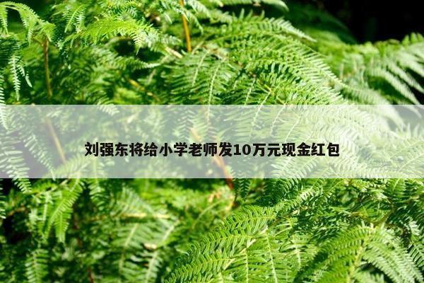 刘强东将给小学老师发10万元现金红包