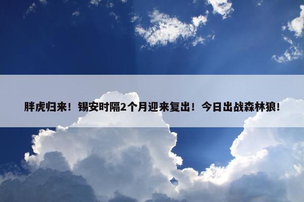 胖虎归来！锡安时隔2个月迎来复出！今日出战森林狼！