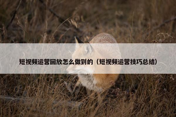 短视频运营回放怎么做到的（短视频运营技巧总结）