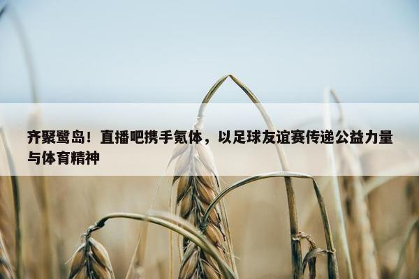 齐聚鹭岛！直播吧携手氪体，以足球友谊赛传递公益力量与体育精神