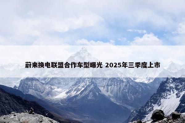 蔚来换电联盟合作车型曝光 2025年三季度上市