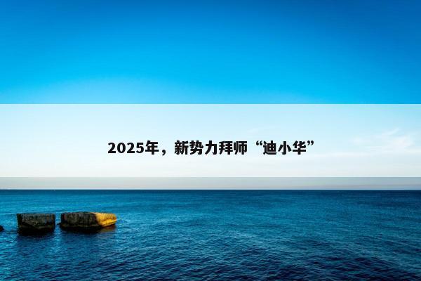 2025年，新势力拜师“迪小华”