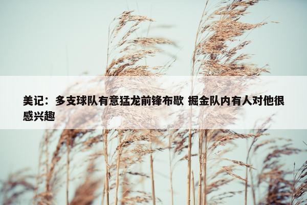 美记：多支球队有意猛龙前锋布歇 掘金队内有人对他很感兴趣