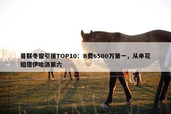 曼联冬窗引援TOP10：B费6500万第一，从申花租借伊哈洛第六