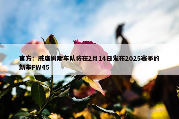 官方：威廉姆斯车队将在2月14日发布2025赛季的新车FW45