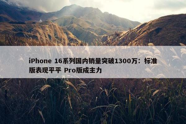 iPhone 16系列国内销量突破1300万：标准版表现平平 Pro版成主力