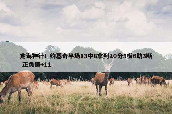 定海神针！约基奇半场13中8拿到20分5板6助3断 正负值+11