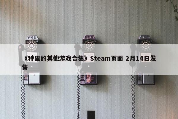 《特里的其他游戏合集》Steam页面 2月14日发售