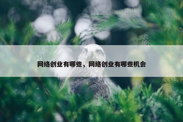 网络创业有哪些，网络创业有哪些机会