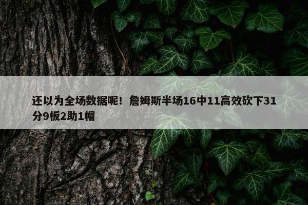 还以为全场数据呢！詹姆斯半场16中11高效砍下31分9板2助1帽