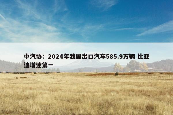 中汽协：2024年我国出口汽车585.9万辆 比亚迪增速第一