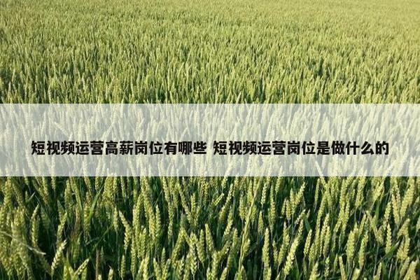 短视频运营高薪岗位有哪些 短视频运营岗位是做什么的