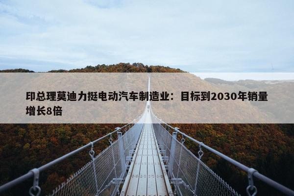 印总理莫迪力挺电动汽车制造业：目标到2030年销量增长8倍