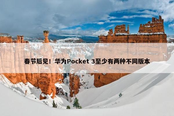 春节后见！华为Pocket 3至少有两种不同版本