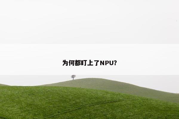 为何都盯上了NPU？