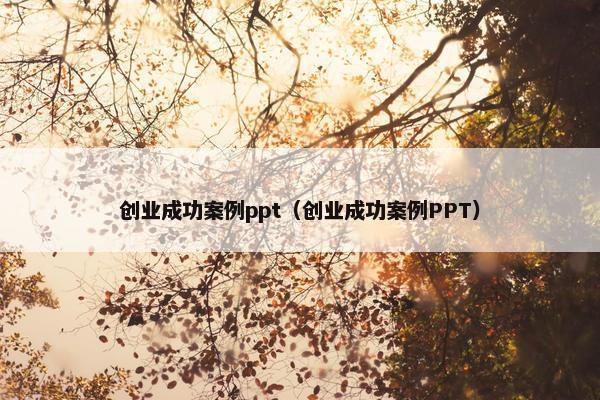 创业成功案例ppt（创业成功案例PPT）