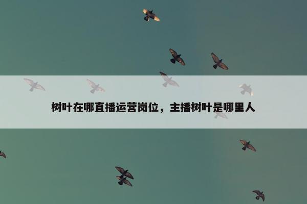 树叶在哪直播运营岗位，主播树叶是哪里人