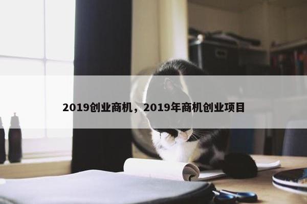 2019创业商机，2019年商机创业项目