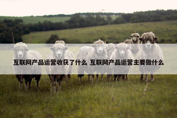 互联网产品运营收获了什么 互联网产品运营主要做什么