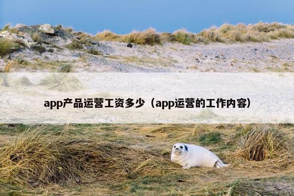 app产品运营工资多少（app运营的工作内容）