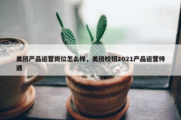 美团产品运营岗位怎么样，美团校招2021产品运营待遇