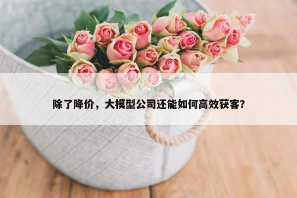 除了降价，大模型公司还能如何高效获客？