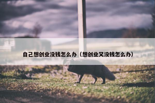 自己想创业没钱怎么办（想创业又没钱怎么办）